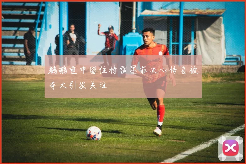 鹈鹕重申留住特雷墨菲决心传言被夸大引发关注